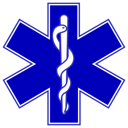 Emergency medical services logo